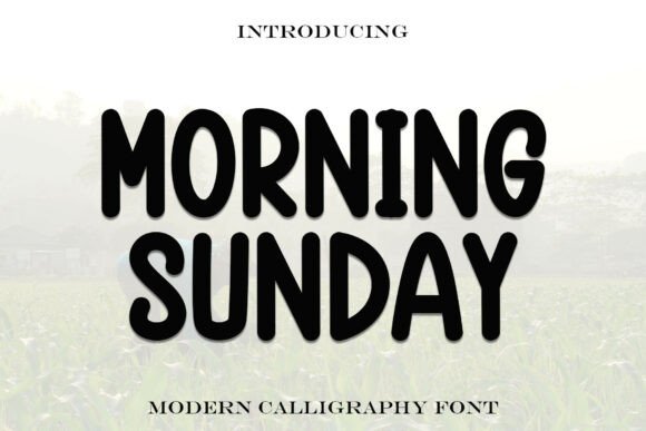 Morningsunday: The Font That Feels Like a Weekend Morning