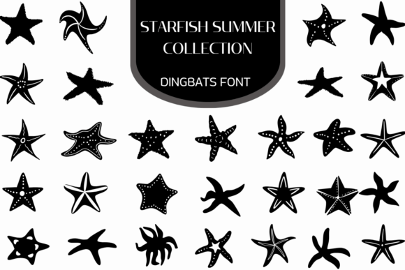 Starfish Summer Collection: A Treasure Trove of Coastal Creativity